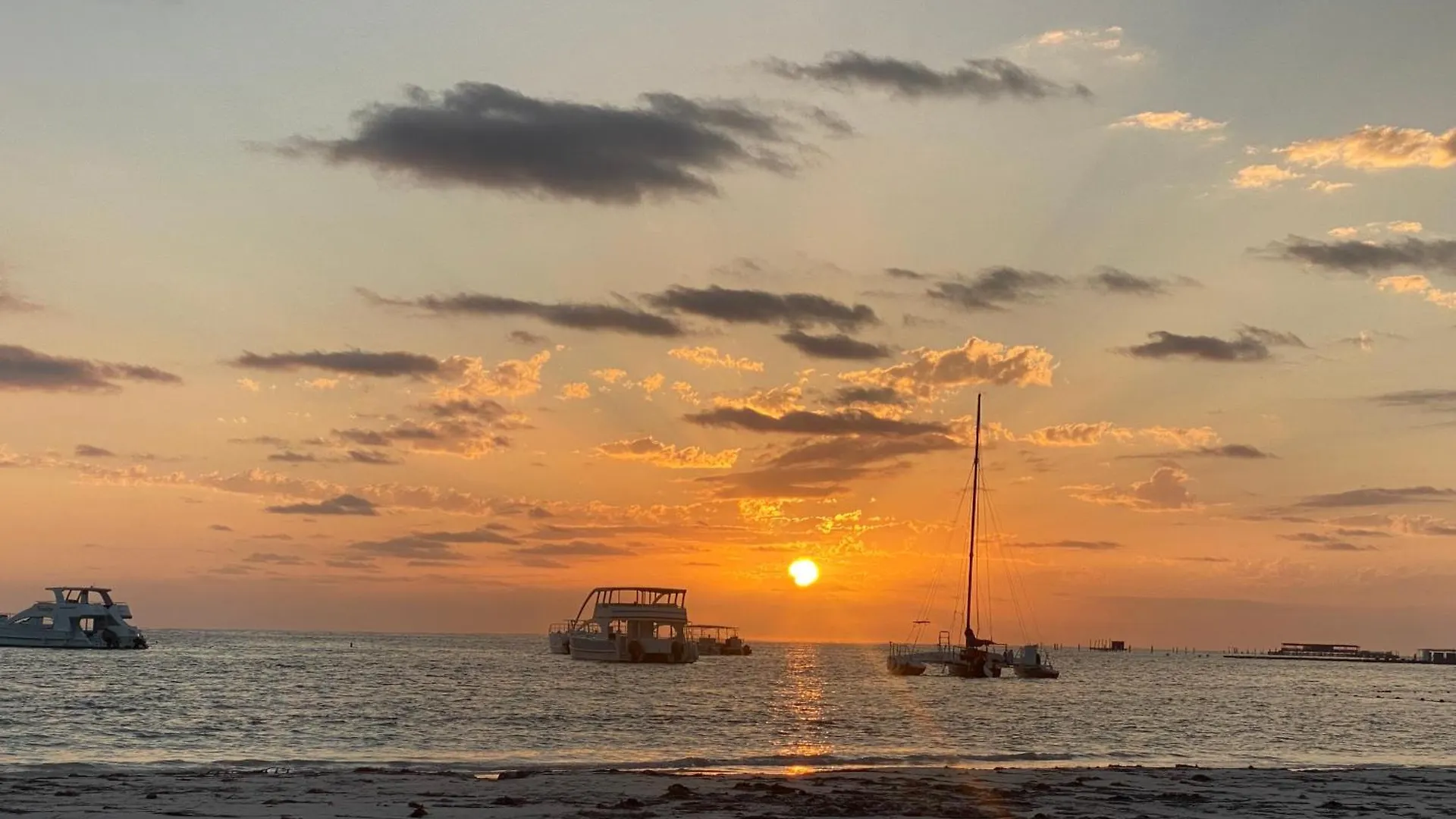 Διαμέρισμα Radiant Realm Residence Free Parking Bbq Central Los Corales Πούντα Κάνα